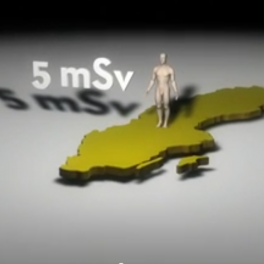 Our radiation environment